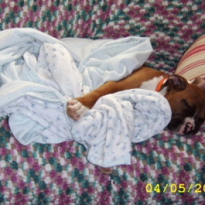 big_baby_max1
