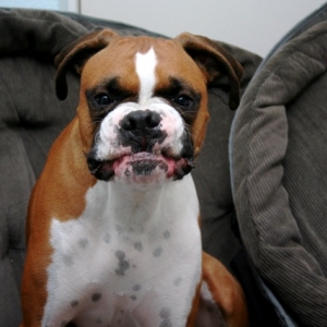I'm tough !