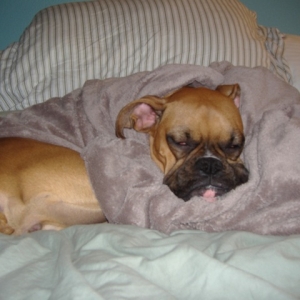 Sleepy girl