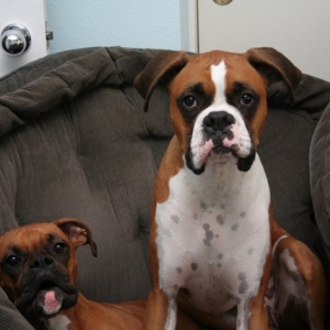 Ruby talks and Jack strikes a pose !