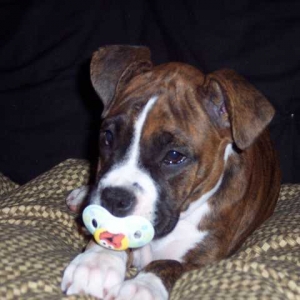 My baby w/ her Elmo binky