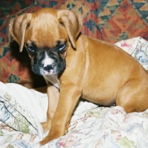 MyBaby