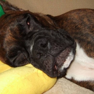 Sleepy head.