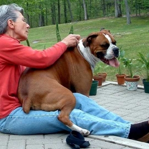 See I can Fit on your lay
