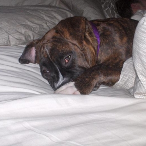 Sleepie Girl