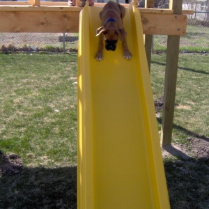 Weeeeeeeeeee!!!