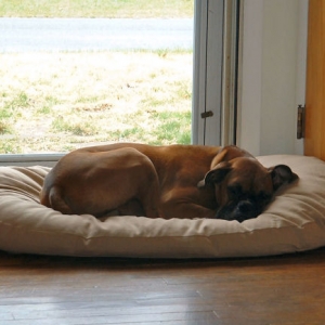 Peaceful nap