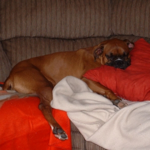 Favorite Pillow
