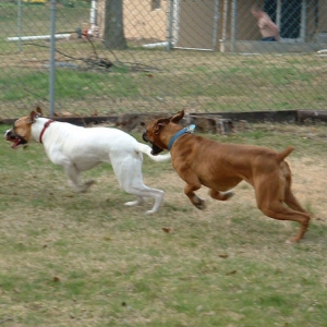 Catch me!