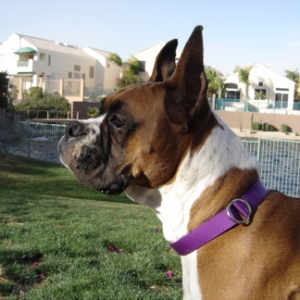My Pretty Girl