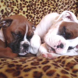 Luka & Angel 15th April 1