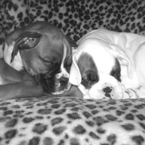 Luka & Angel 15th April 2