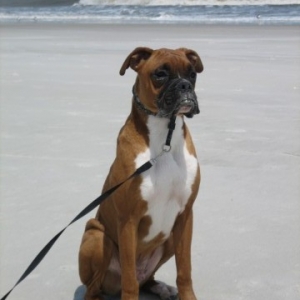 beach