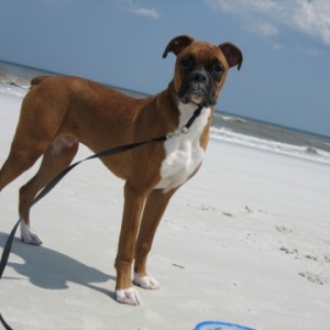 beach2