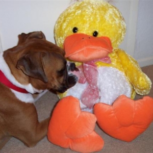 Happy Easter Samantha