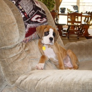 Sitting in Daddys Chair
