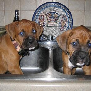 DIRTY BOYZ!!!