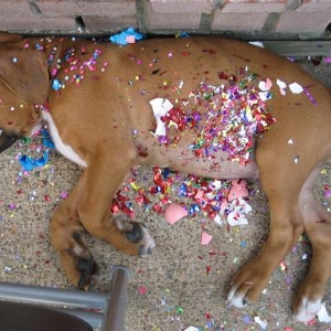 A WORN OUT EASTER EGG!!!