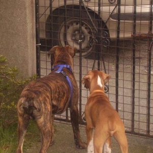 Let us out!