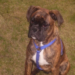 Sammy age 6mths