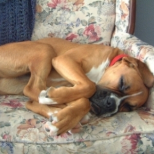 Keeya Sleeping in Chair