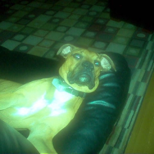 Chico chillin as usual