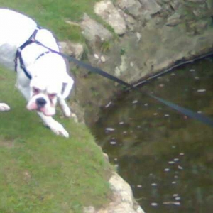 I'm not going in there!