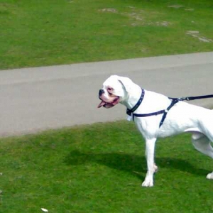 Out on a walk
