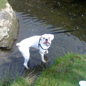 I'm in the water