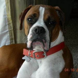 Aren't I handsome?