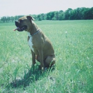 at the park 9 months 60 lbs