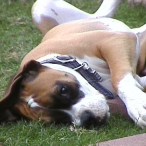 AHHHH ... this is the life!