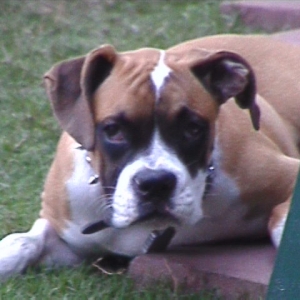 I love you too mommy!