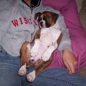 SleepyGirl