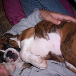Sleepin