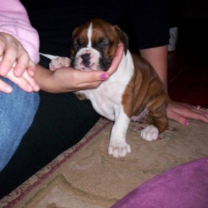 Denali-5wks_10_