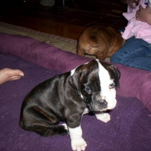 Damon5wks_4_