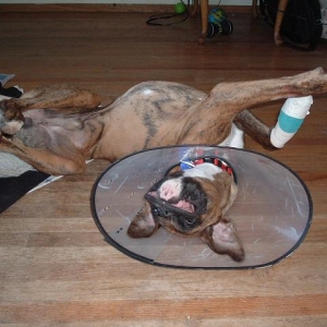Poor Baby
