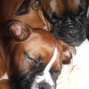 My sleepy baby girls!