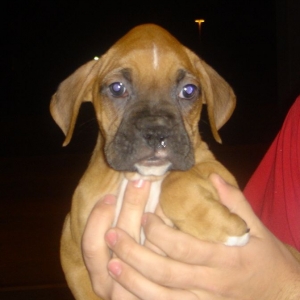Chandler on the first night we met!