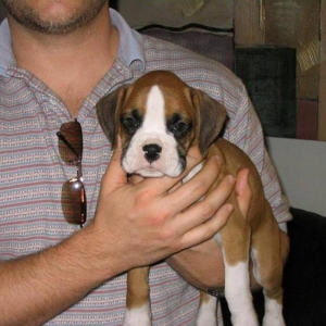 Rudy 2