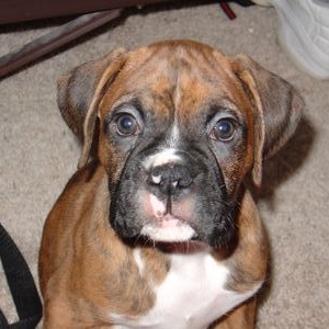 Charlie