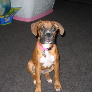 Haley- 3 1/2 months
