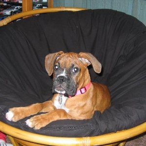 Haley 3 1/2 months