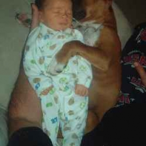 Beau & Bryson