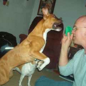 Just give me the ball!!!!