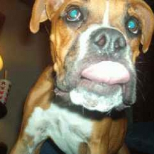 How 'bout a kiss!!?!