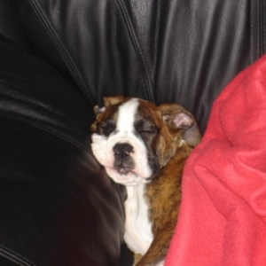 MURPHY DOING  WHAT HE DOES BEST