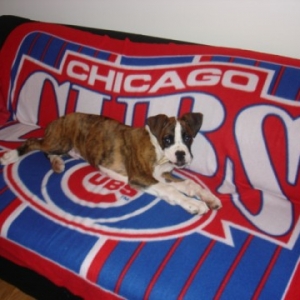 RELAXING WATHCING THE CUBS GAME