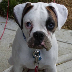 Look mom....my nose is a shovel!